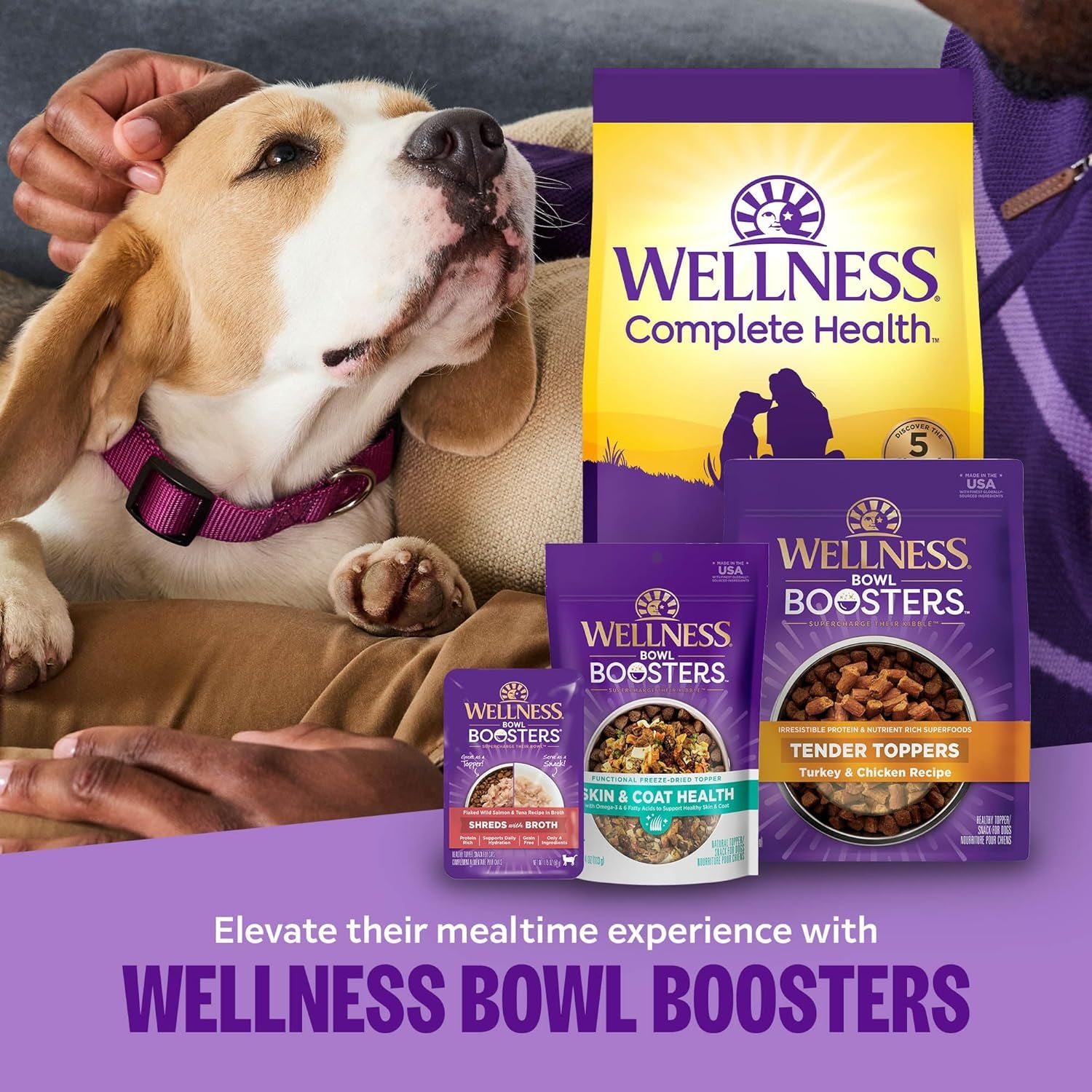 Complete Health Small Breed Dry Dog Food with Grains, Natural Ingredients, Made in USA with Real Turkey, for Dogs up to 25 Lbs. (Puppy, Turkey, Salmon & Oatmeal, 4-Pound Bag)