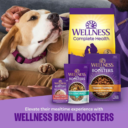 Complete Health Small Breed Dry Dog Food with Grains, Natural Ingredients, Made in USA with Real Turkey, for Dogs up to 25 Lbs. (Puppy, Turkey, Salmon & Oatmeal, 4-Pound Bag)